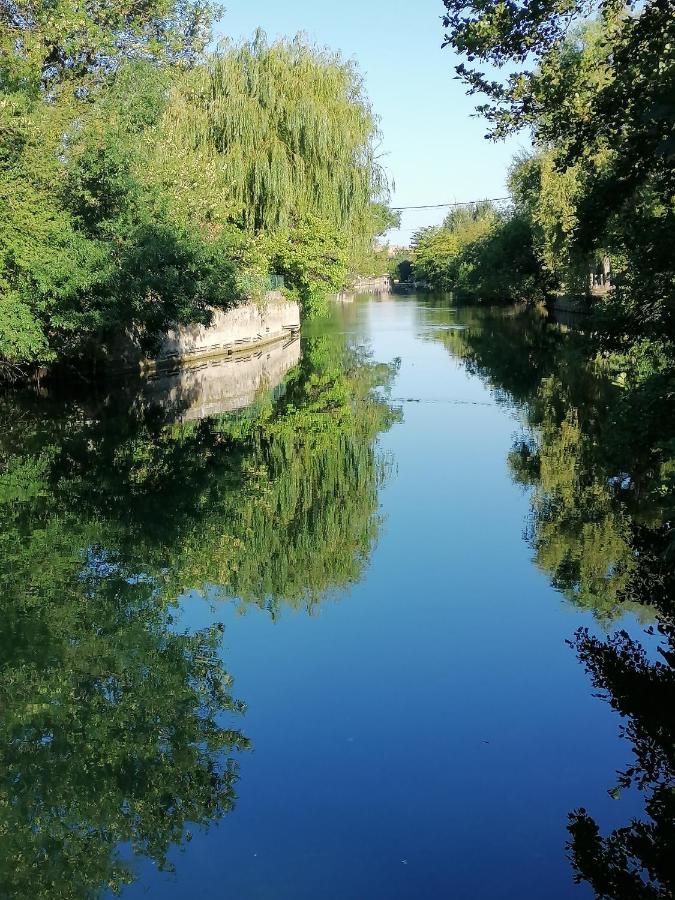 Gite Les Demoiselles Des Sorgues L'Isle-sur-la-Sorgue Exterior photo